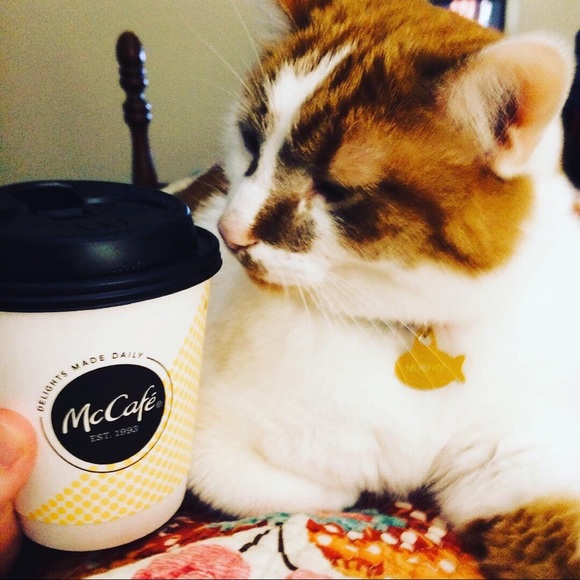 Meet your Posher, Emily - Picture 3 of 5